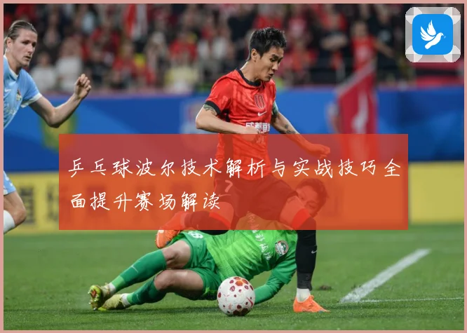 乒乓球波尔技术解析与实战技巧全面提升赛场解读