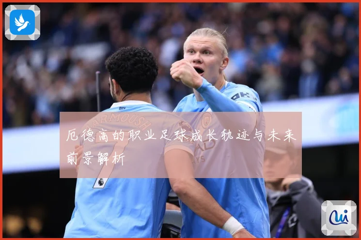 厄德高的职业足球成长轨迹与未来前景解析