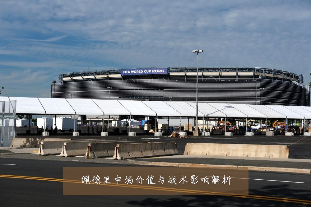 佩德里中场价值与战术影响解析