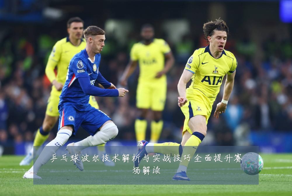 乒乓球波尔技术解析与实战技巧全面提升赛场解读