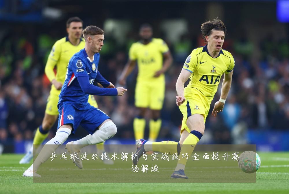 乒乓球波尔技术解析与实战技巧全面提升赛场解读