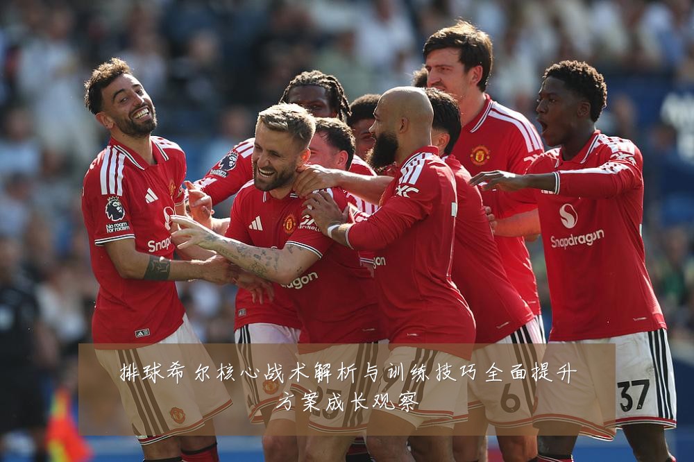 排球希尔核心战术解析与训练技巧全面提升方案成长观察