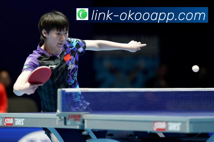 阿尔卡拉斯对阵辛纳:ATP巡回赛关键对位解读(2) 阿尔卡拉斯对阵辛纳:ATP巡回赛关键对位解读(2)